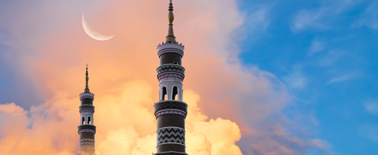 Sayahdeen [He Will Guide Me] Series:  Prophets of Allah - The Story of Prophet Yunus