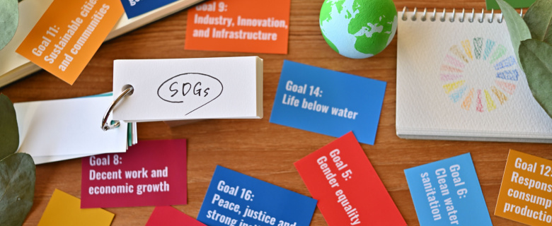 دعم التغيير: مكتبات منطقة الشرق الأوسط وشمال إفريقيا وأهداف التنمية المستدامة (SDGs) دعم التغيير: مكتبات منطقة الشرق الأوسط وشمال إفريقيا وأهداف التنمية المستدامة (SDGs)