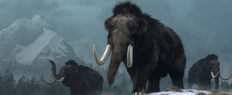 Evolution Between Science and Myth Evolution Between Science and Myth