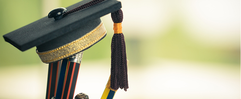 How to Choose Your University Specialization How to Choose Your University Specialization