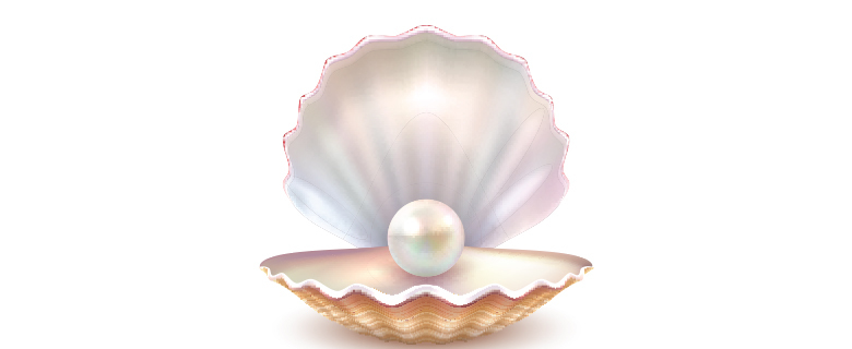 A Pearl Journey A Pearl Journey