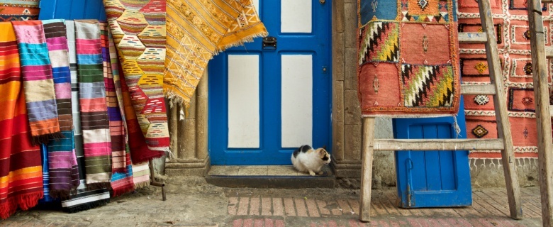 Let's Talk Morocco!