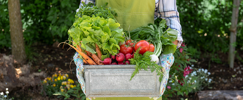 Ladies, Go Beyond Organic: Let’s Talk About Sustainable Gardening! Ladies, Go Beyond Organic: Let’s Talk About Sustainable Gardening!